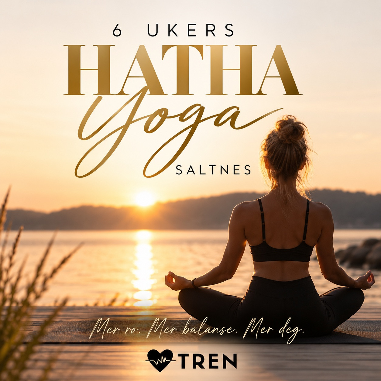 6 ukers Hatha Yoga kurs med Anne cover image