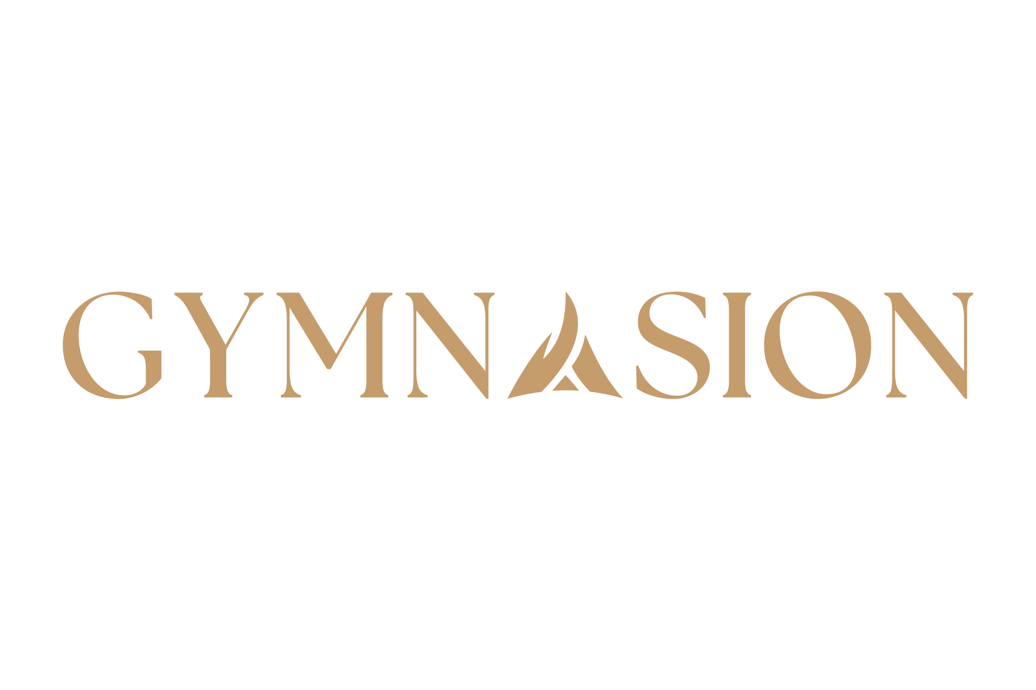Gymnasion
