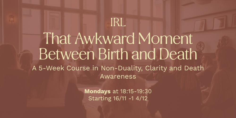 IN PERSON: That Awkward Moment Between Birth and Death cover image