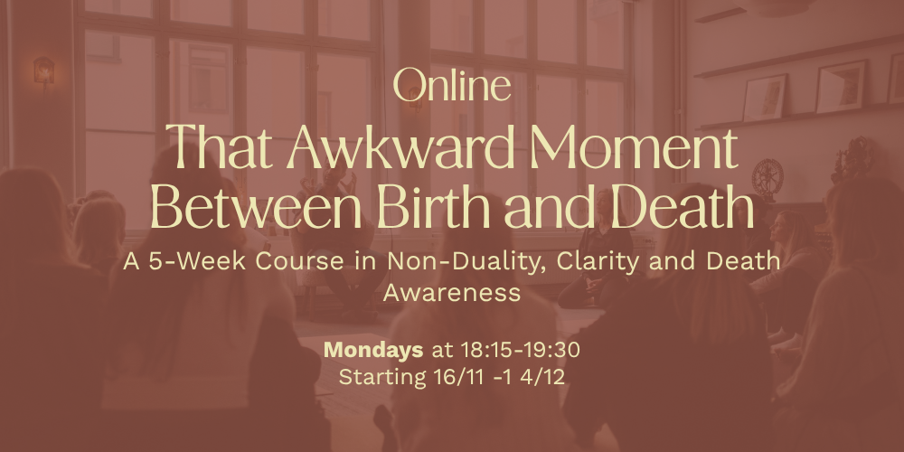 ONLINE That Awkward Moment Between Birth and Death cover image