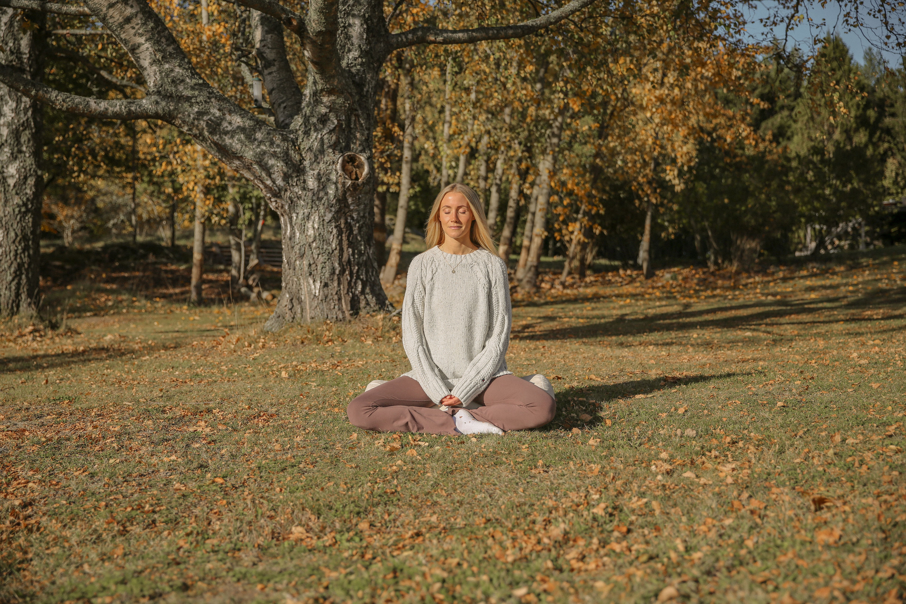 Kakaoceremoni med Josephine Tagesson cover image