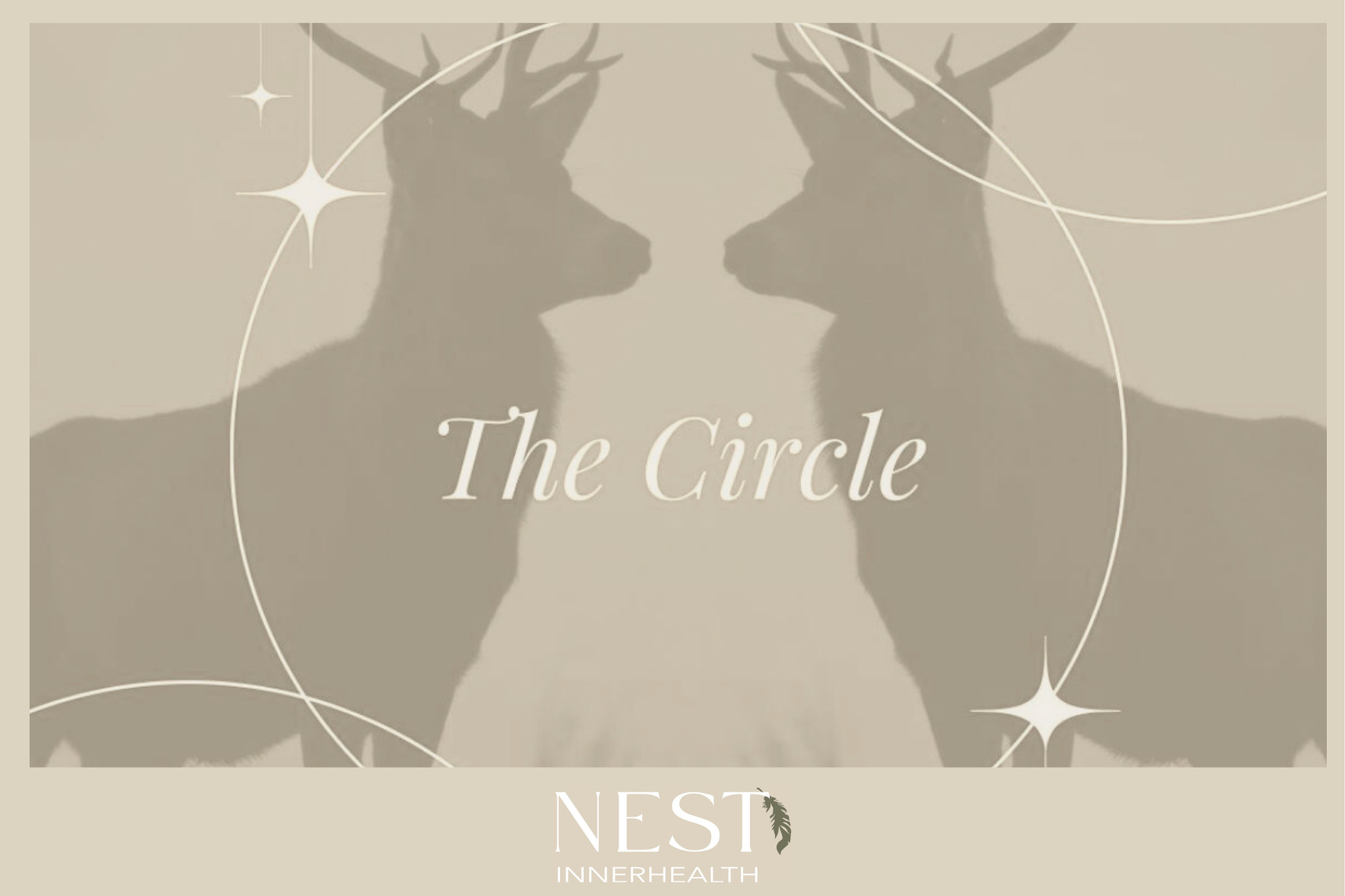 The Circle  cover image