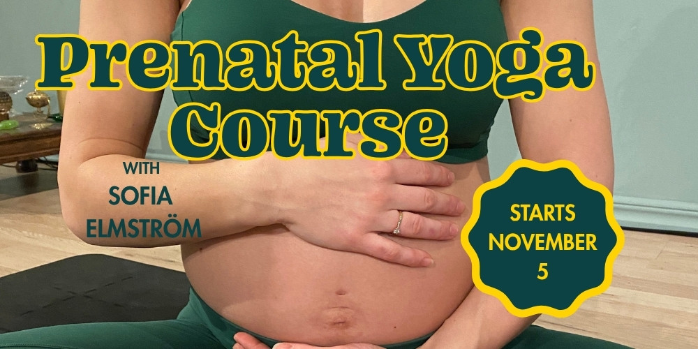 Prenatal Yoga Course  cover image