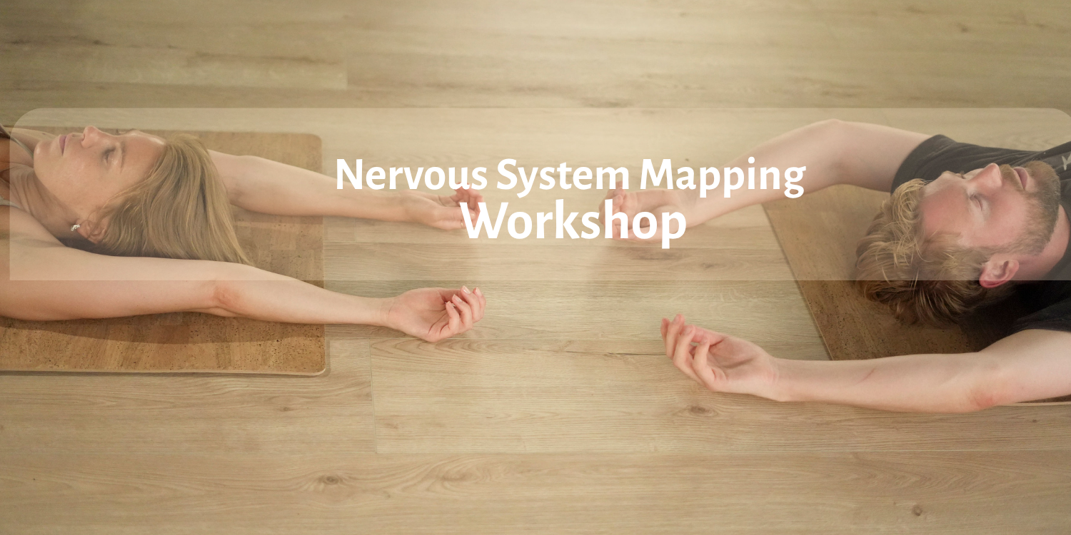 Nervous System Mapping - All 3 sessions cover image