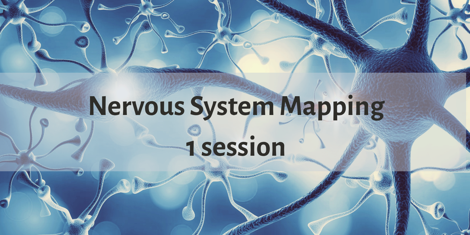 Nervous System Mapping Workshop - 1 session  cover image