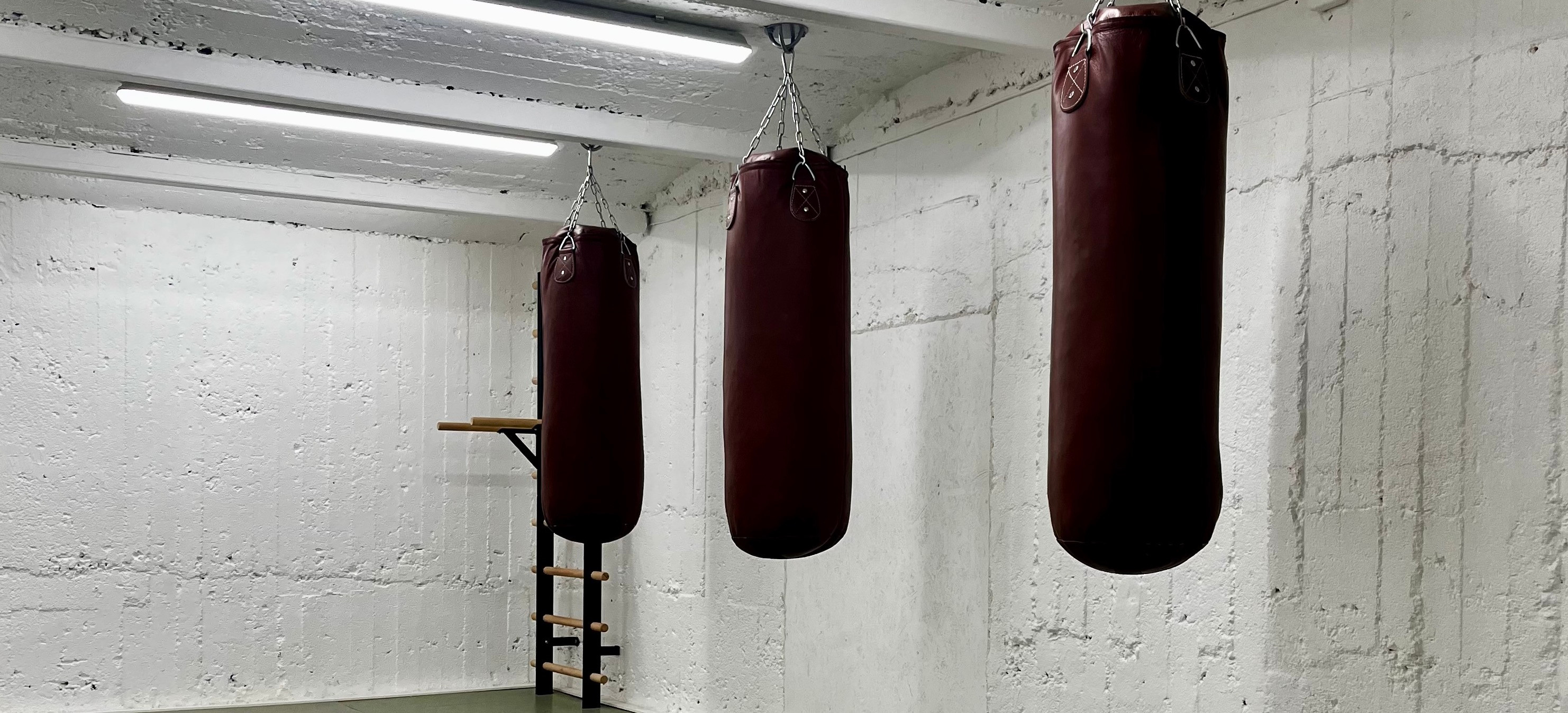 Träningsgrupp flickor 11-13 år cover image