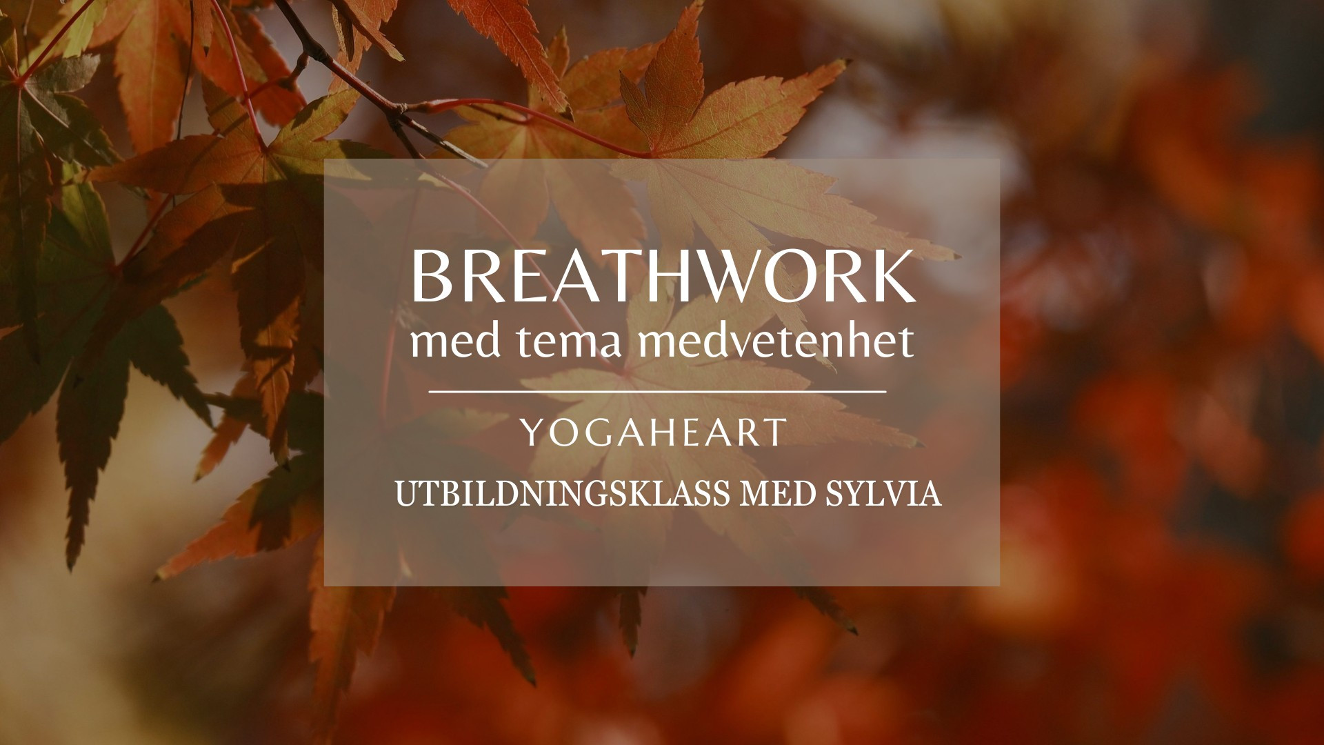 Breathwork med tema medvetenhet  cover image