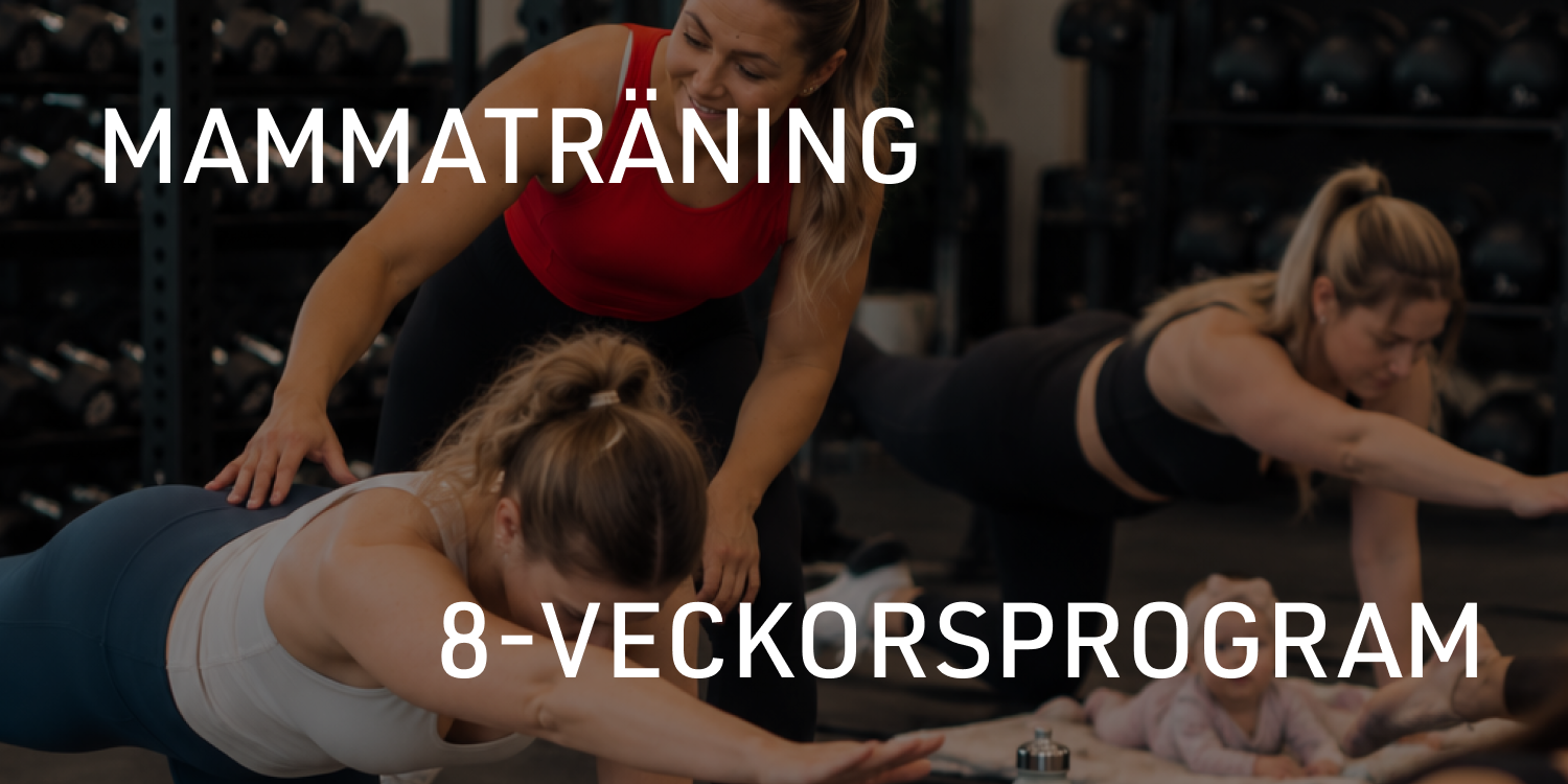 Mammaträning - 8 Veckor cover image