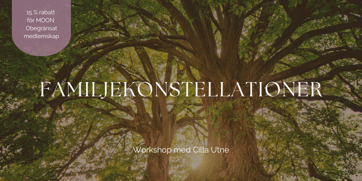 Familjekonstellationer cover image