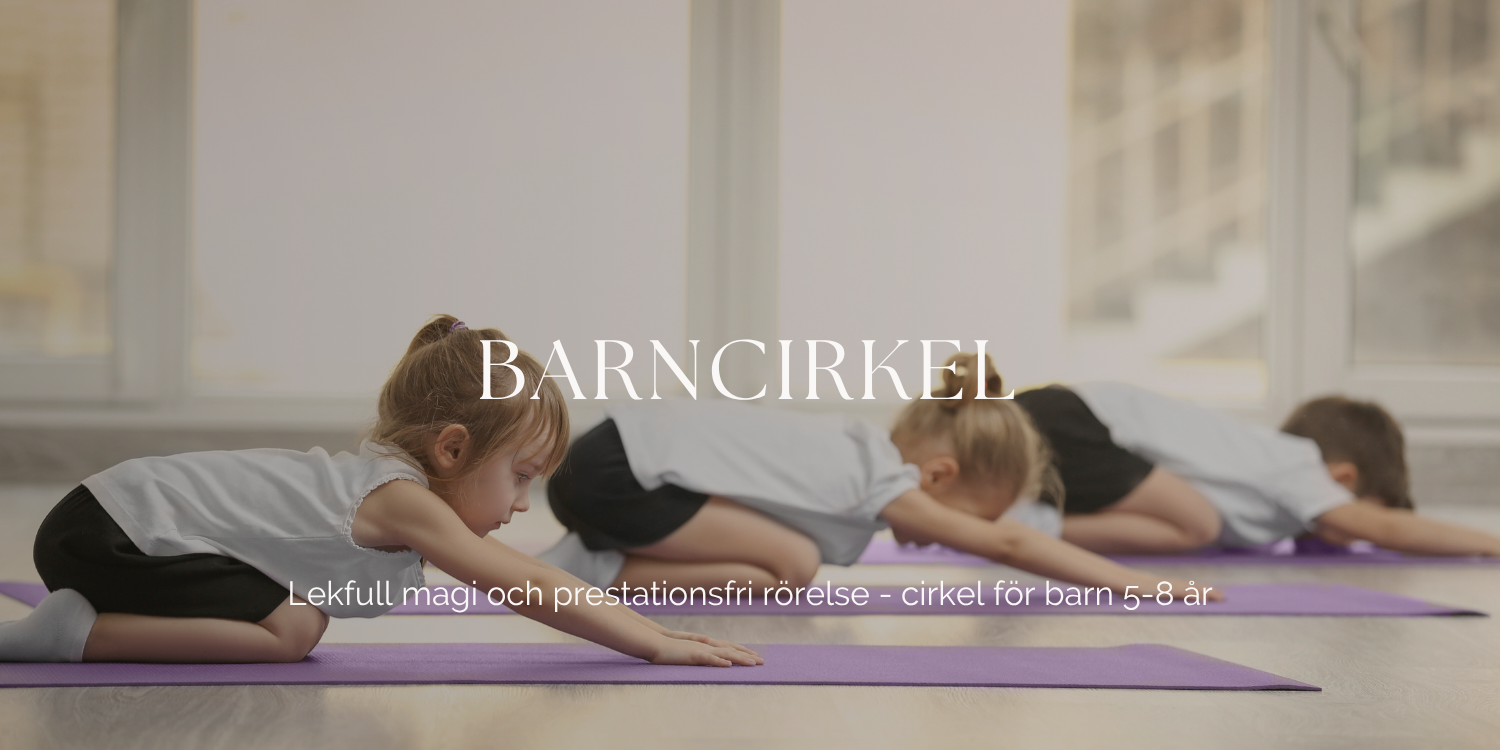 Barncirkel cover image