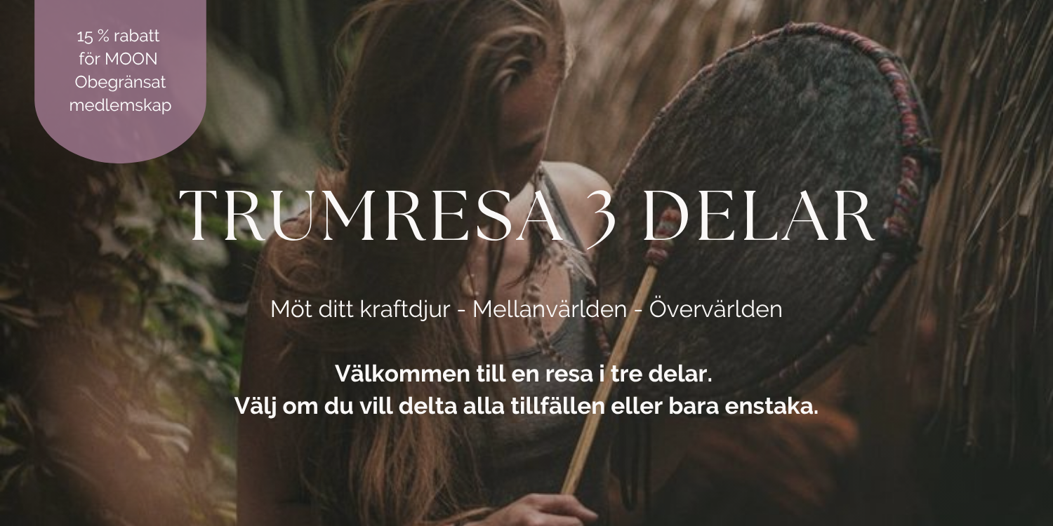 Trumresa - 3 delar cover image
