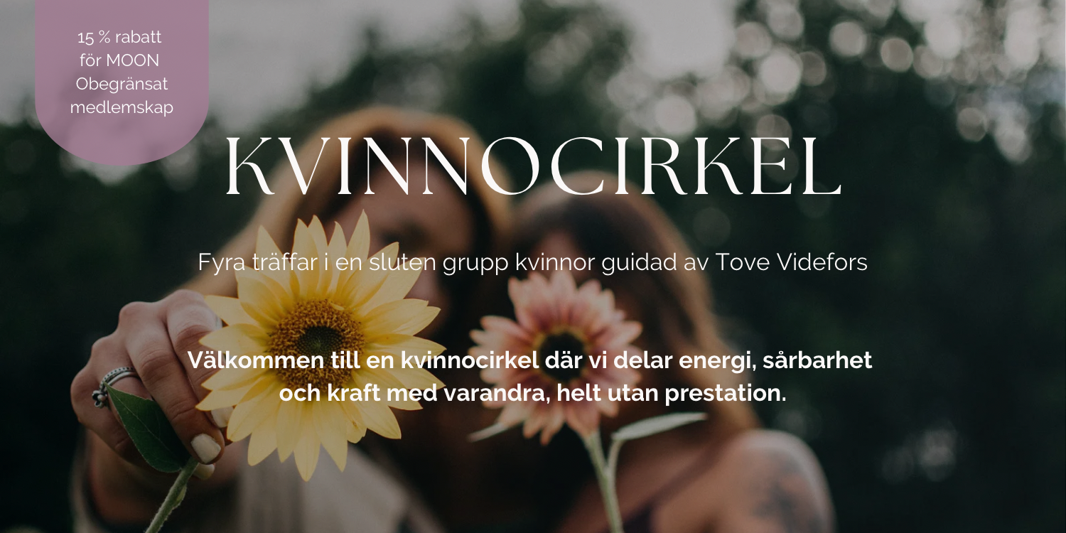 Kvinnocirkel 4 träffar i sluten grupp cover image