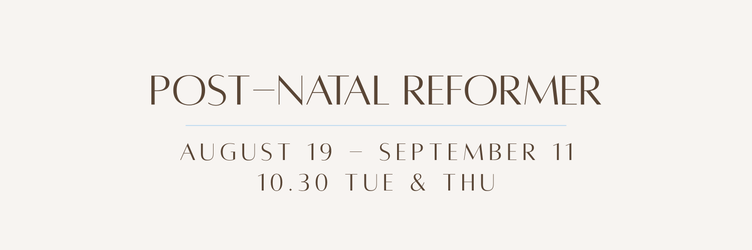 Post-Natal Reformer | Aug 19 - Sep 11 cover image