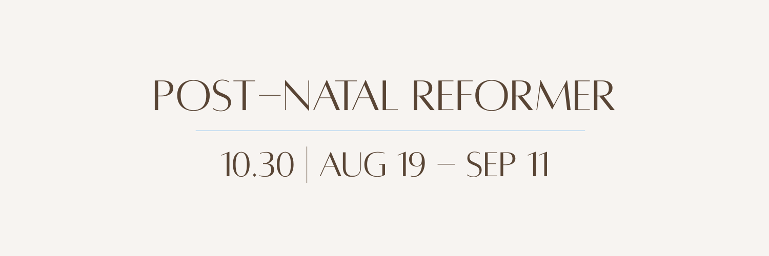 Post-Natal Reformer | Aug 19 - Sep 11 (10:30) cover image